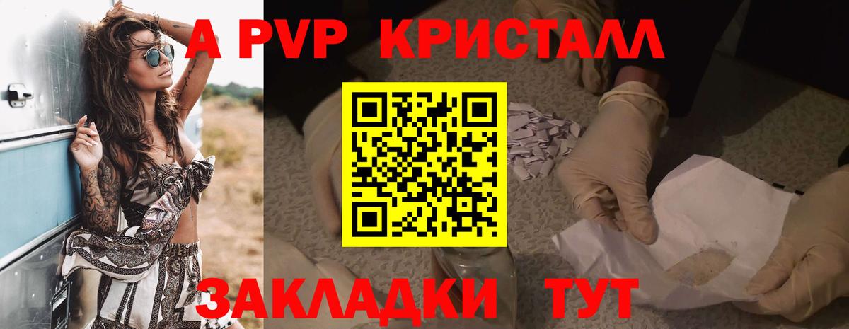 Альфа ПВП СК КРИС Саранск