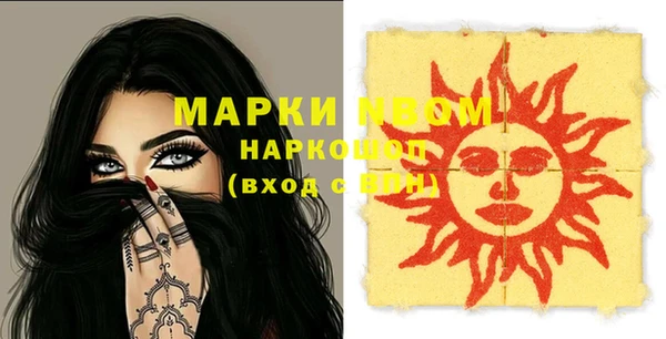гидра Медвежьегорск