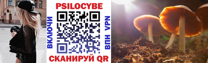 Галлюциногенные грибы MAGIC MUSHROOMS  где купить наркотик  МЕГА как войти  Саранск 